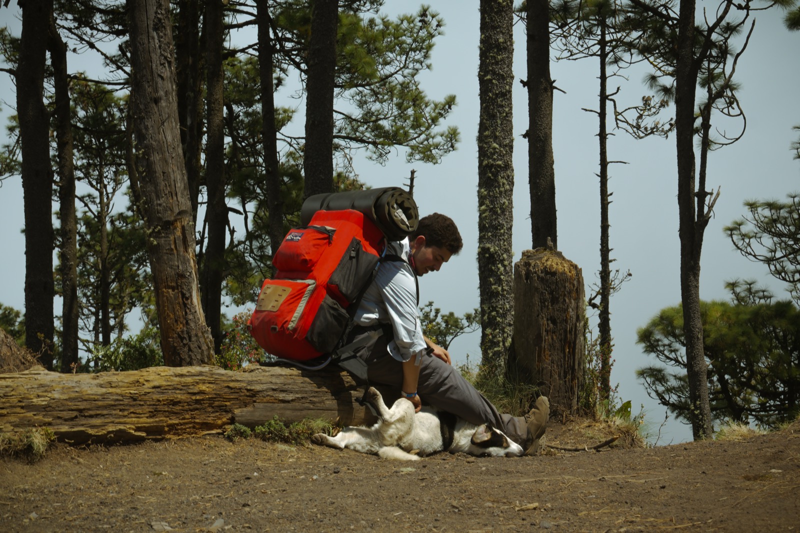 Hiker with dog — photography by YCK Archive
