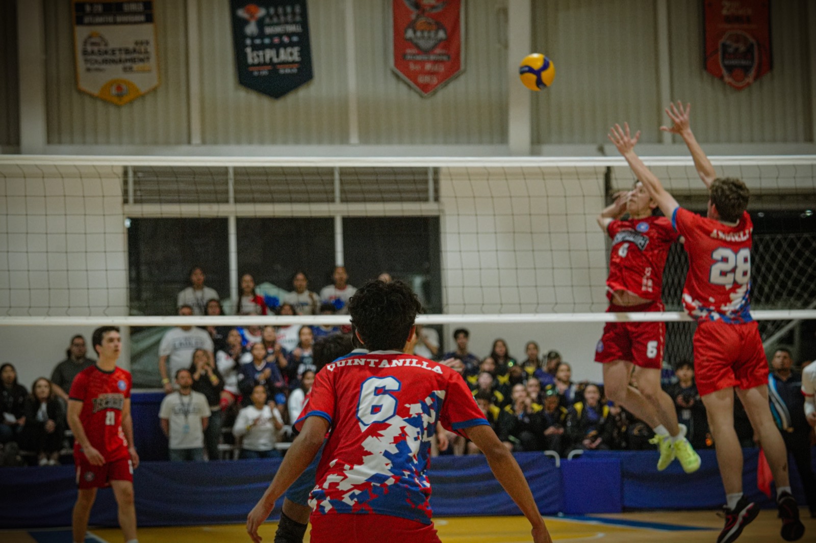 Volleyball — sports photography by YCK Archive